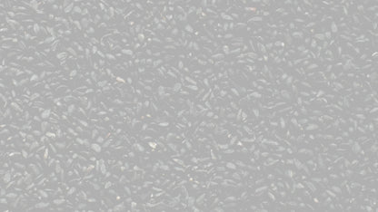 Nutriwish Kalonji Seeds
